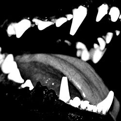 Man Eater After Tha Day photo