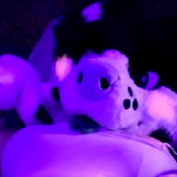 ZoePupperoniAD photo