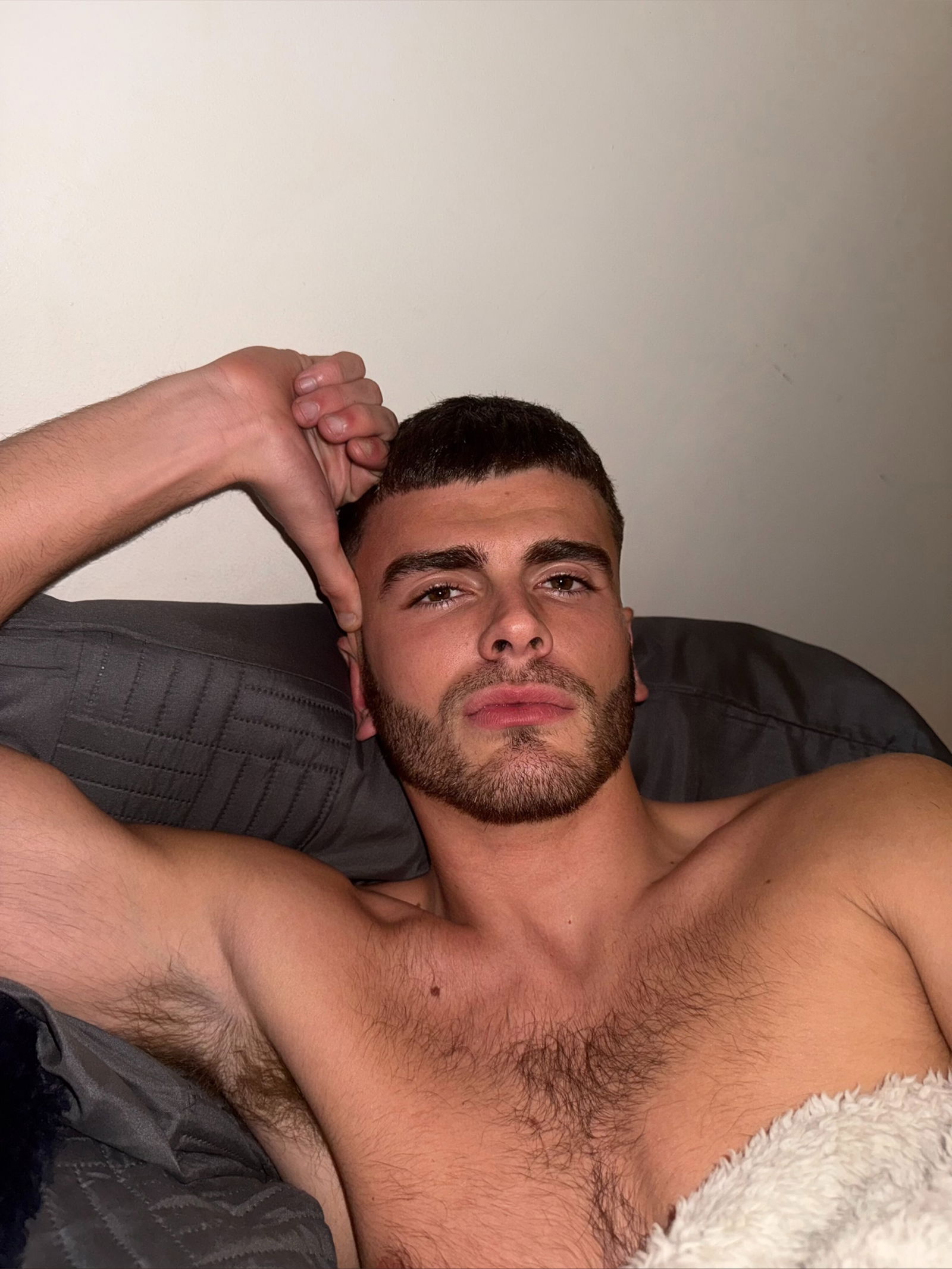 The Welsh Stud photo