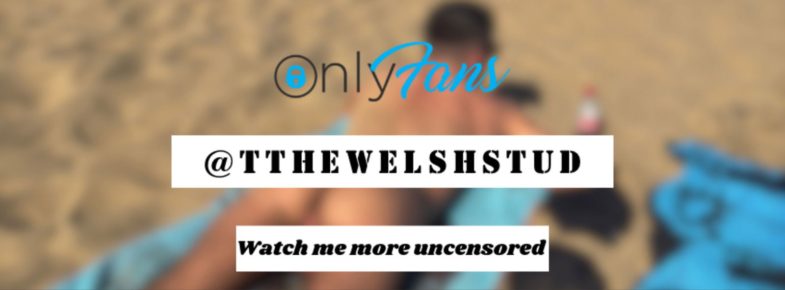 The Welsh Stud photo