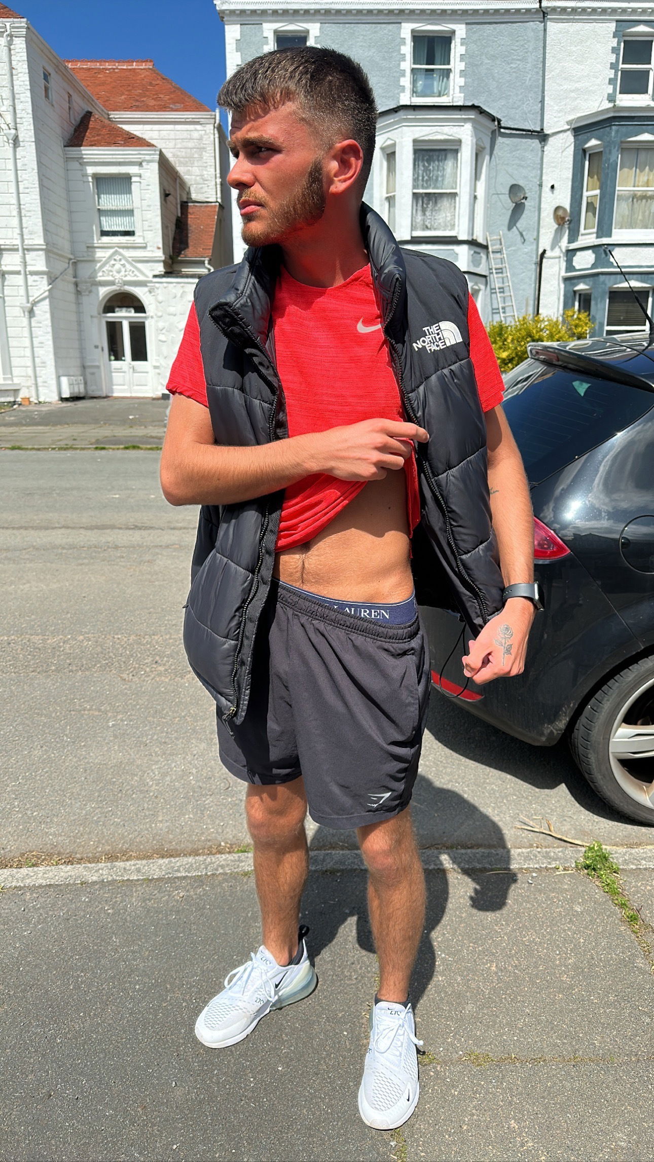 The Welsh Stud photo