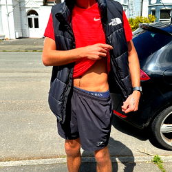 The Welsh Stud photo