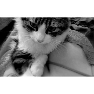 Aline Fructuoso photo