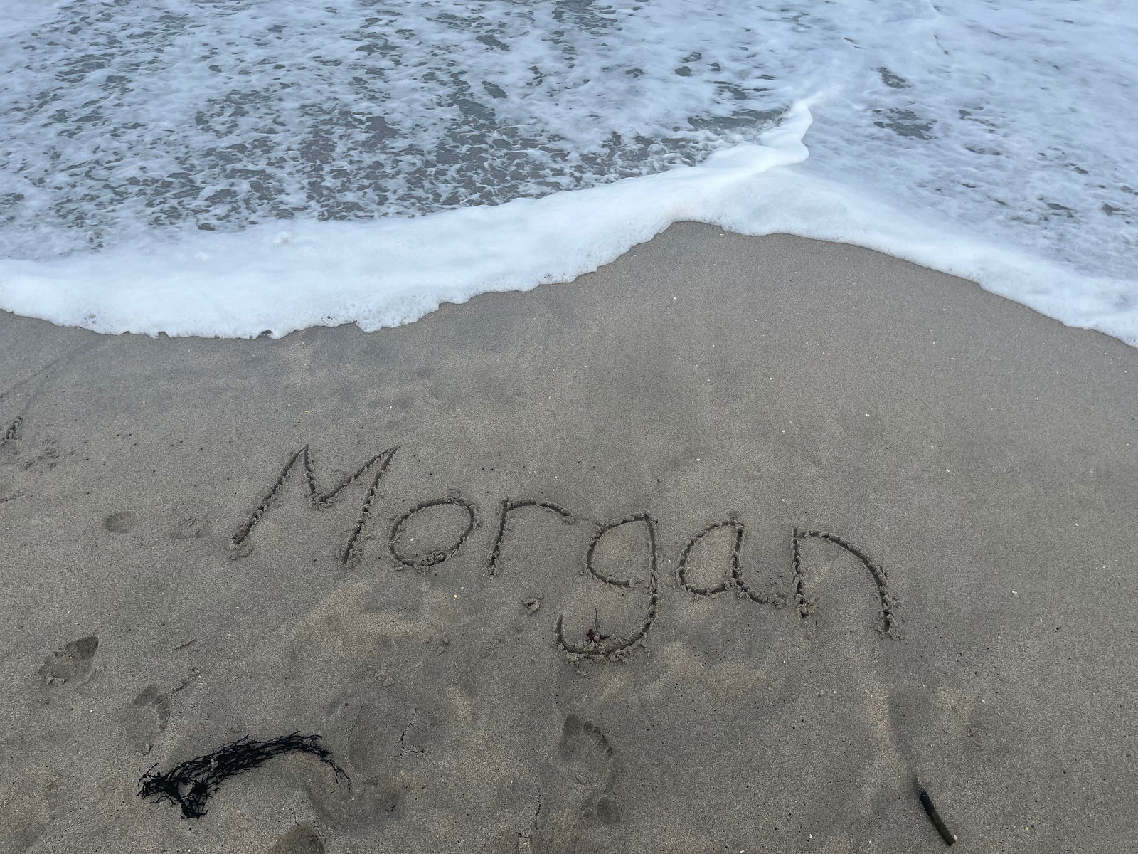 Morgan photo