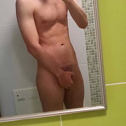 Belgium Big White Cock photo