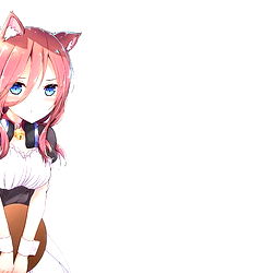 💕 Neko 💕 photo