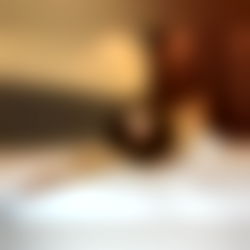 Bella`s Story๐ photo