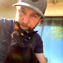 Stephen's Feline Companion