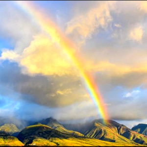 โข~โจRainbow photo