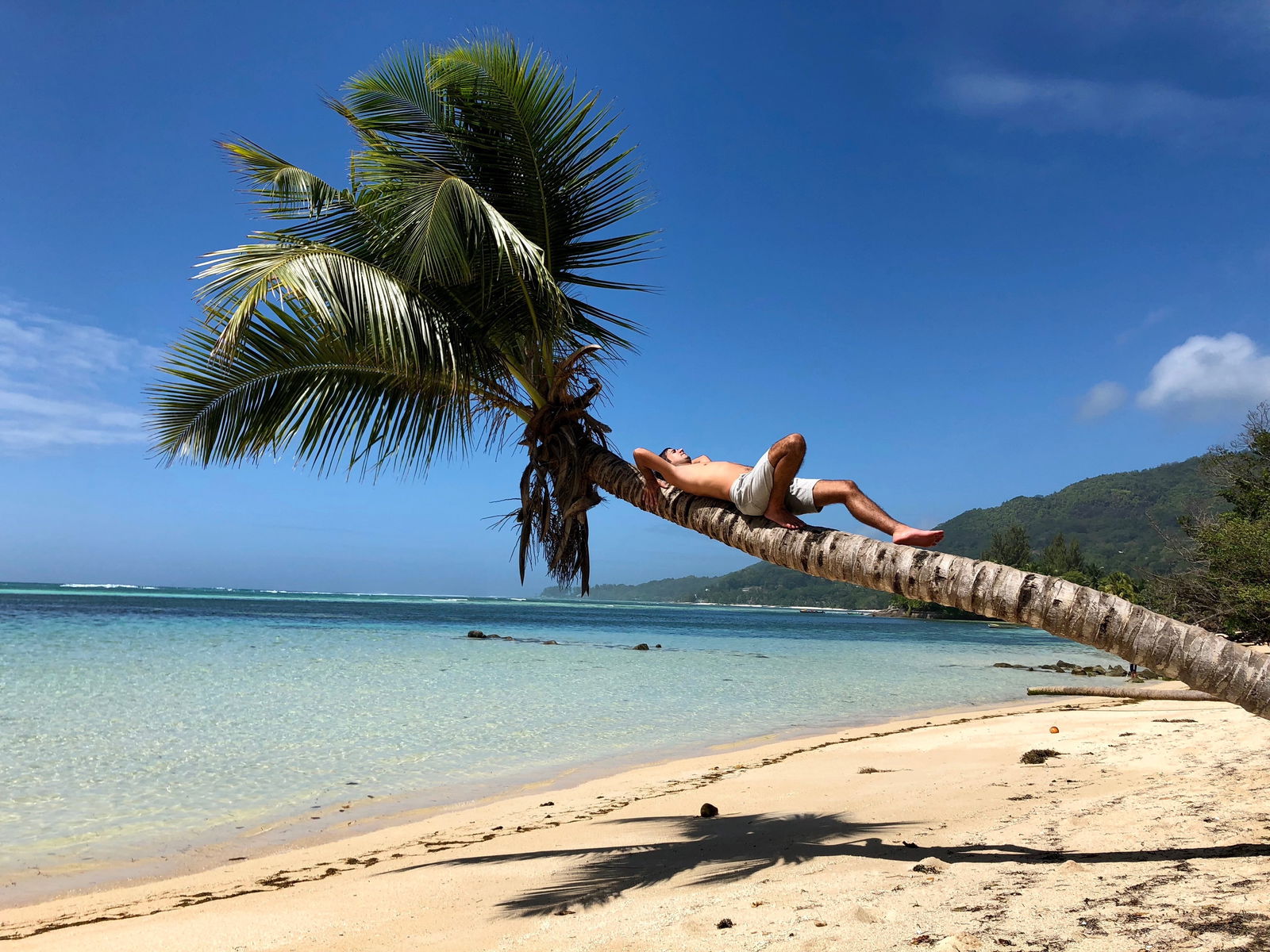 𝘧𝘳𝘦𝘦💦𝘷𝘪𝘥𝘦𝘰𝘴 photo