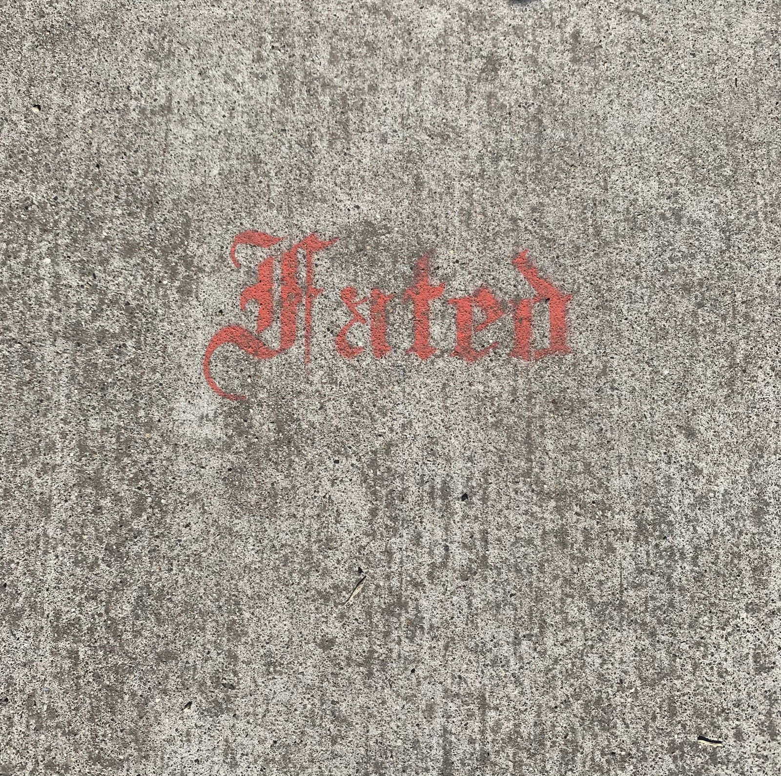 homeiswherethehoesare photo