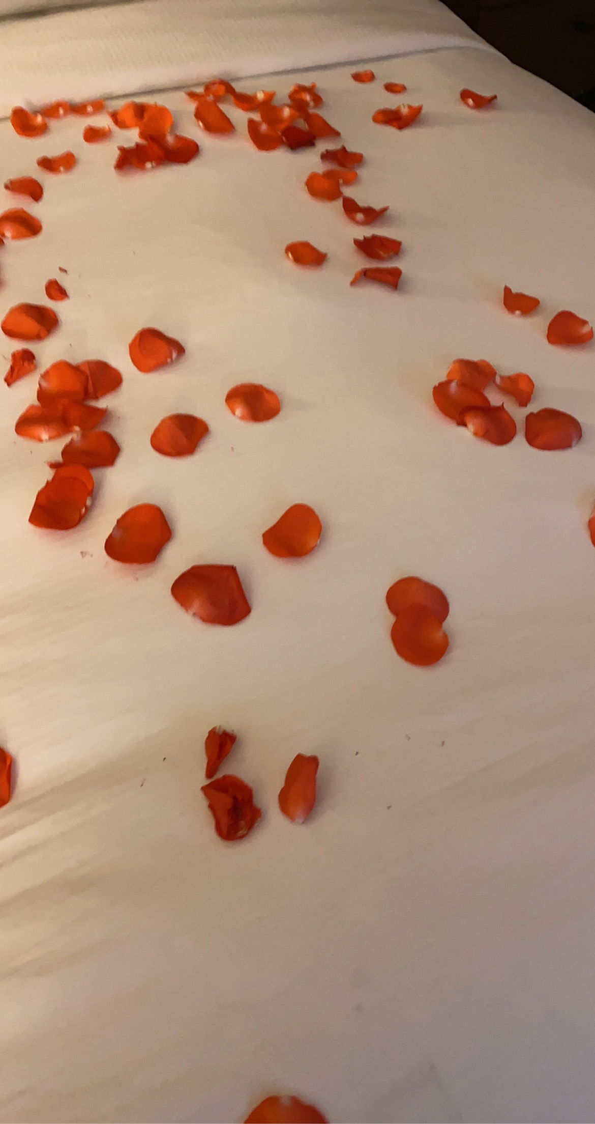 Alexis Camila 🦋 photo