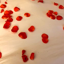 Alexis Camila 🦋 photo