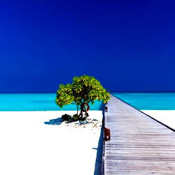 Serene Beach Scenery