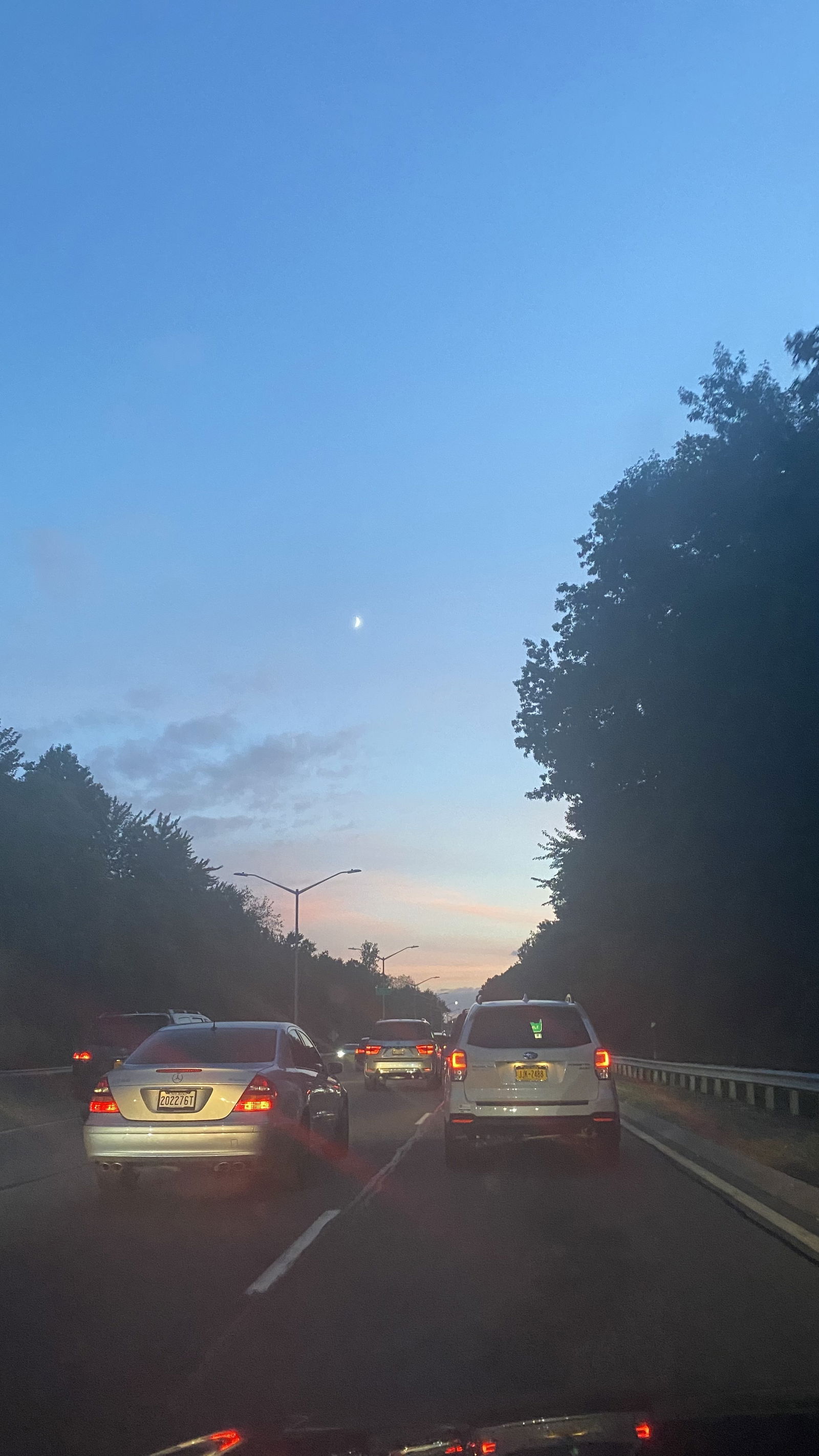 Margo’s world photo