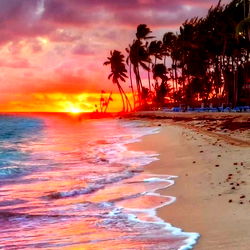 princess 🥥🌴 photo