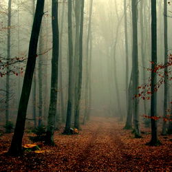 Kaszek [Hot Couple Films] photo