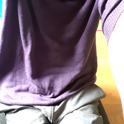 Anti Ant: An Image of a Person in a Purple Sweater and Blue Pants Posing for Selfie