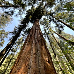 🍄Annie Anderson🌺 photo