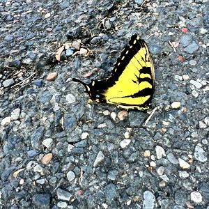 ๐
๐พ๐พ๐ณ๐
๐ฑ๐ด๐ฐ๐
photo