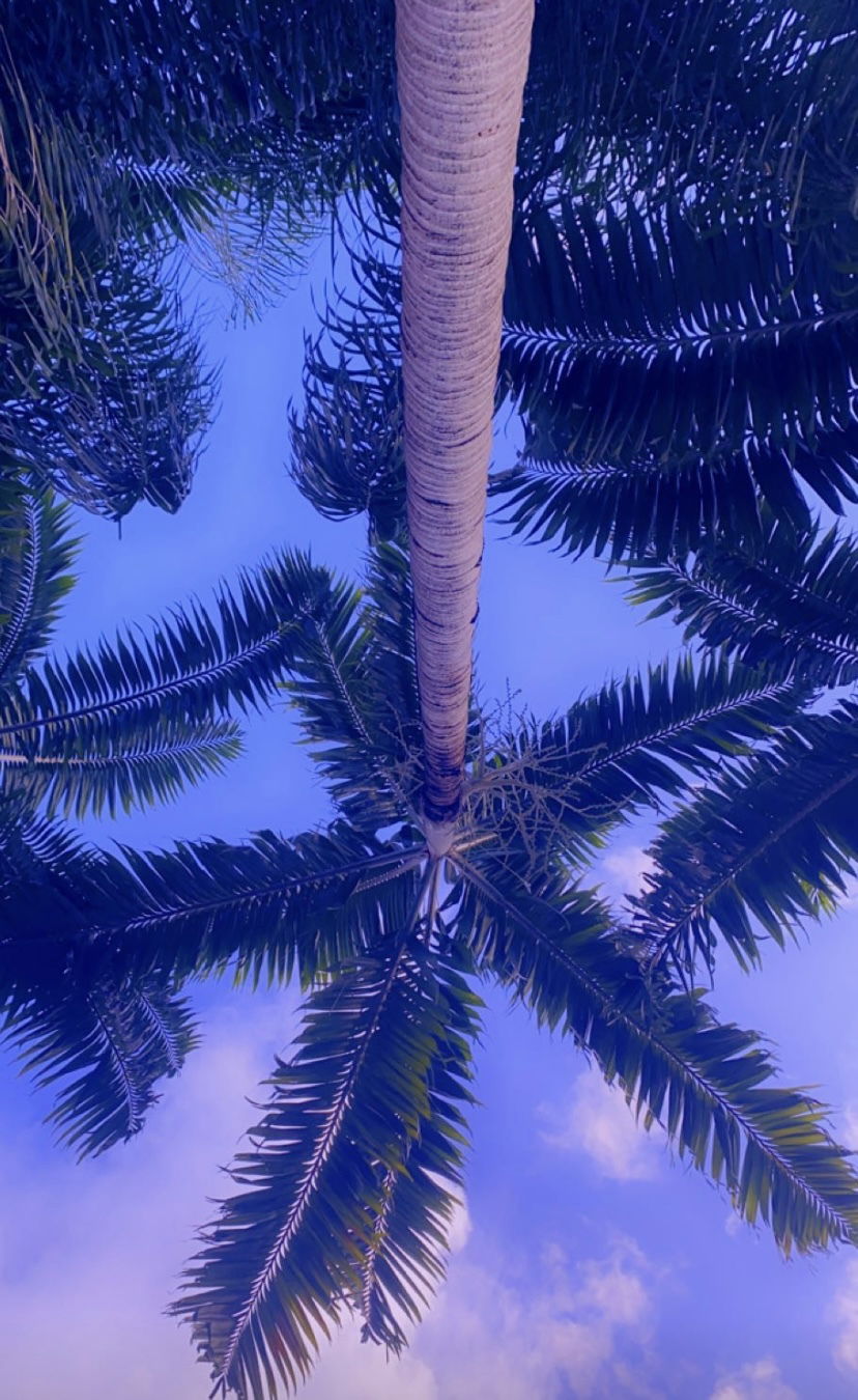 Mama Milkshake photo