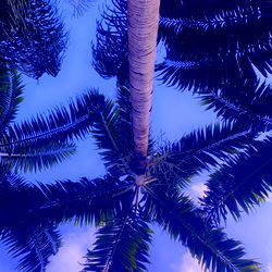 Mama Milkshake photo