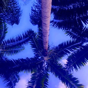 Mama Milkshake photo