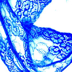 Alyssa Belle's Model Photo Analysis