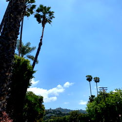 Serene California Afternoon