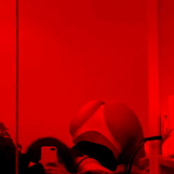 Exciting New OnlyFans Model, Stallion, Unveiled!