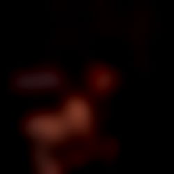 Kitty โจ๐ฆ photo