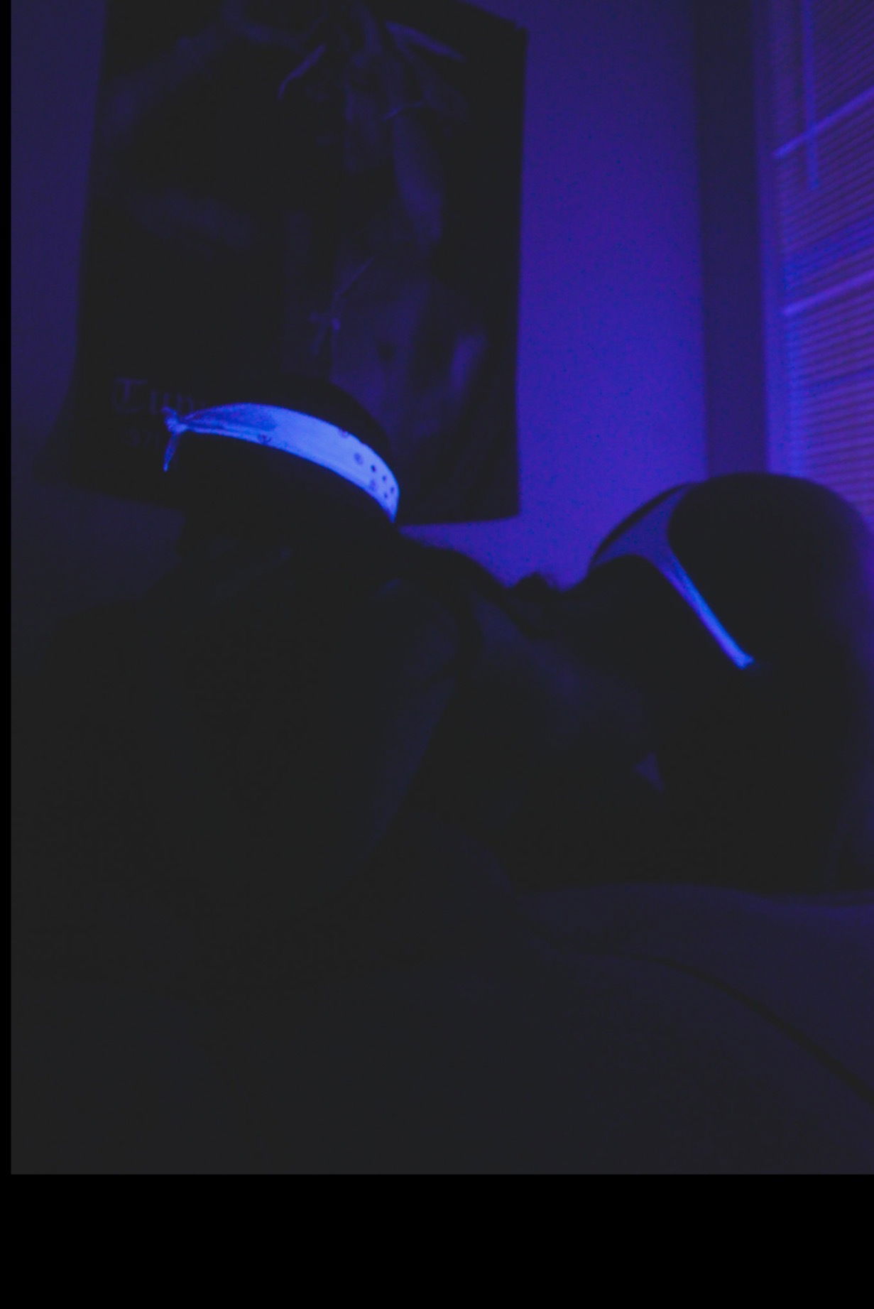 Aqua da demon❤️ photo