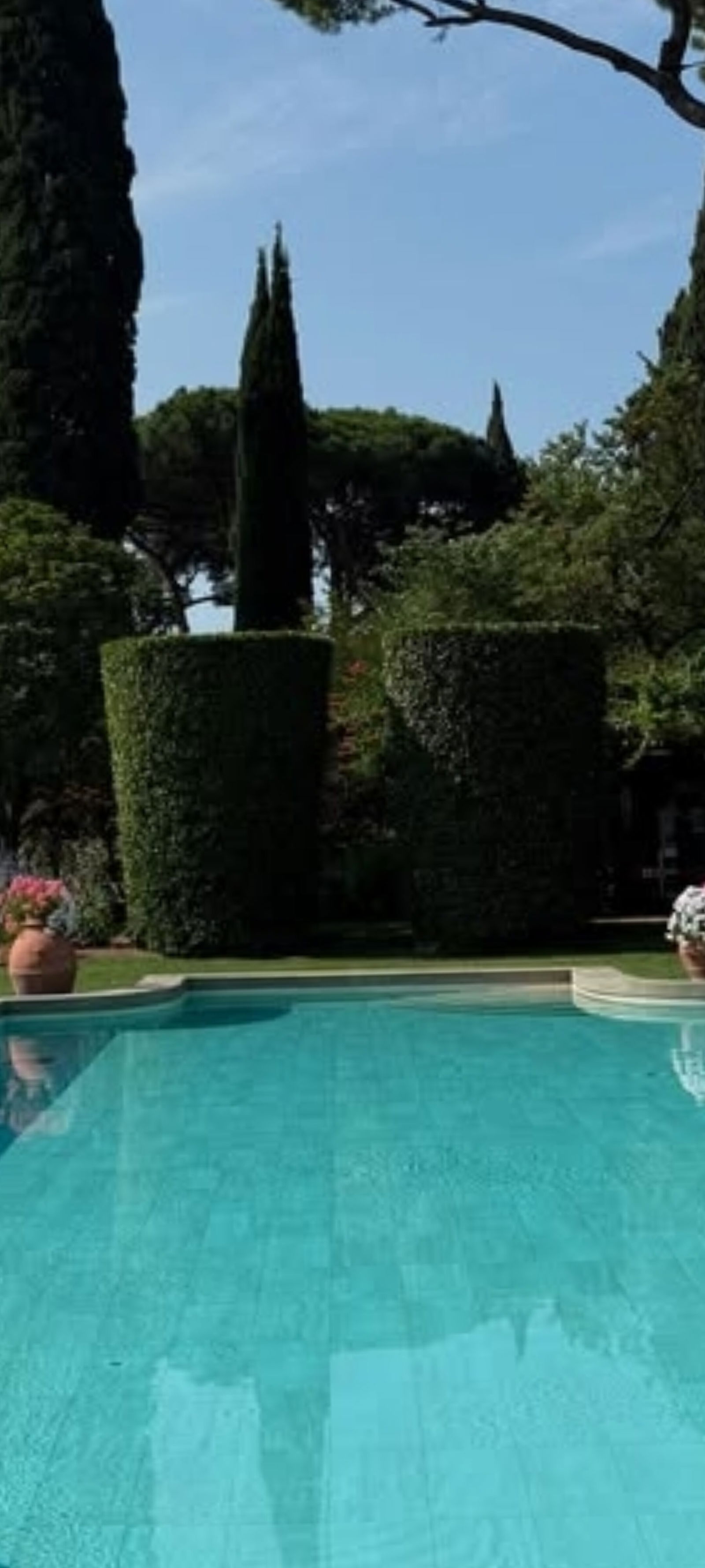 N༶A༶S༶T༶Y ʷⁱᶜᵏᵉᵈ 🄱🄰🄻🄻🄴🅁🄸🄽🄰  🧠🔫 photo