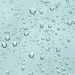 Petitequebecoise photo