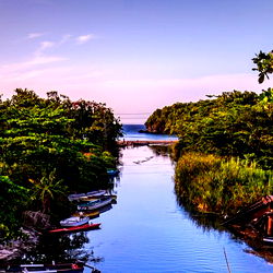 Nature's Tranquility: A L E X