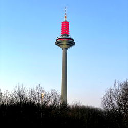 Some Guy in FFM photo