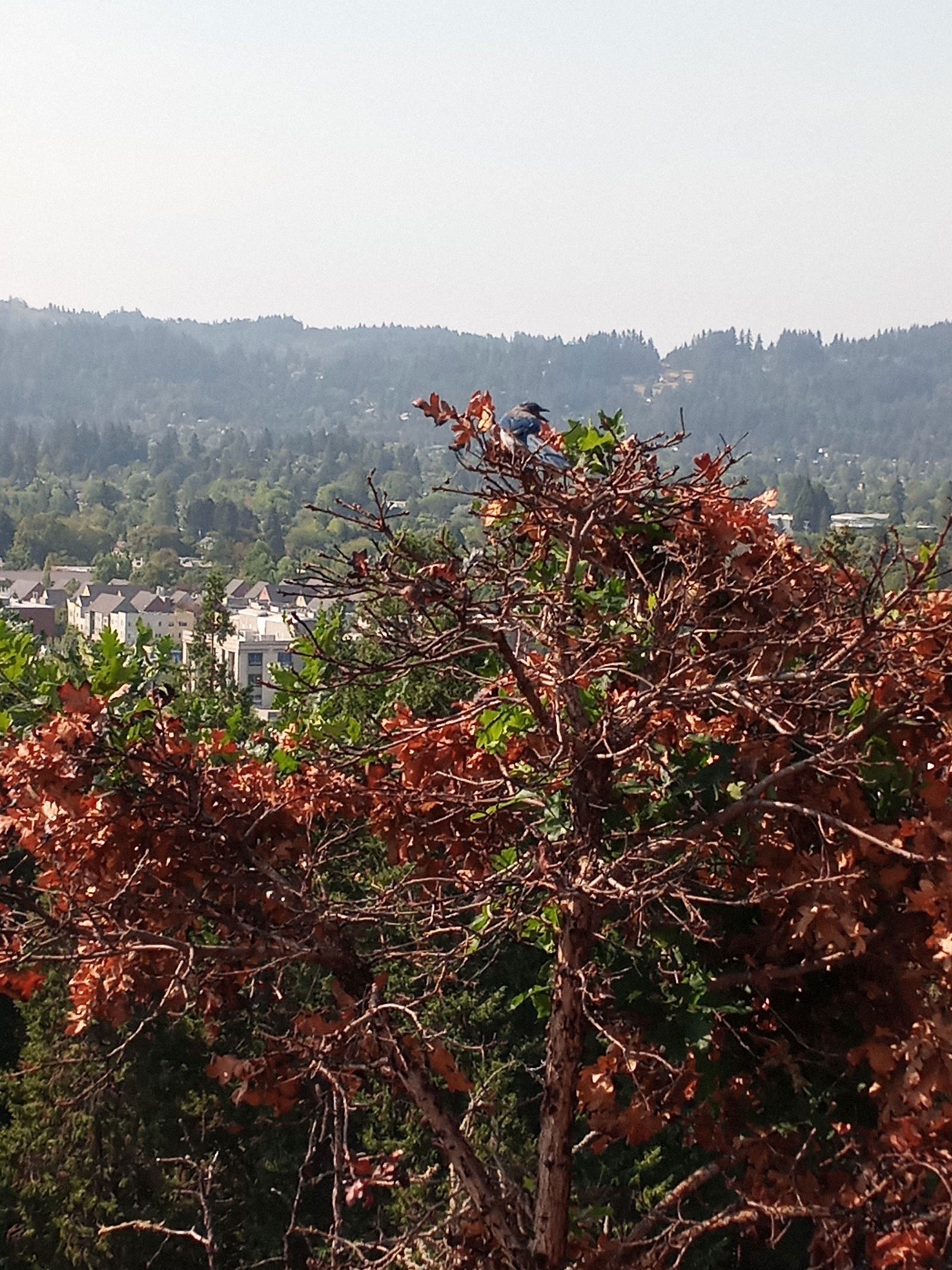 Emily Thrasher photo