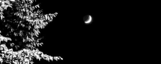 Stella Ce Soir photo