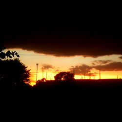 Serene Sunset with Cataleya's Fans