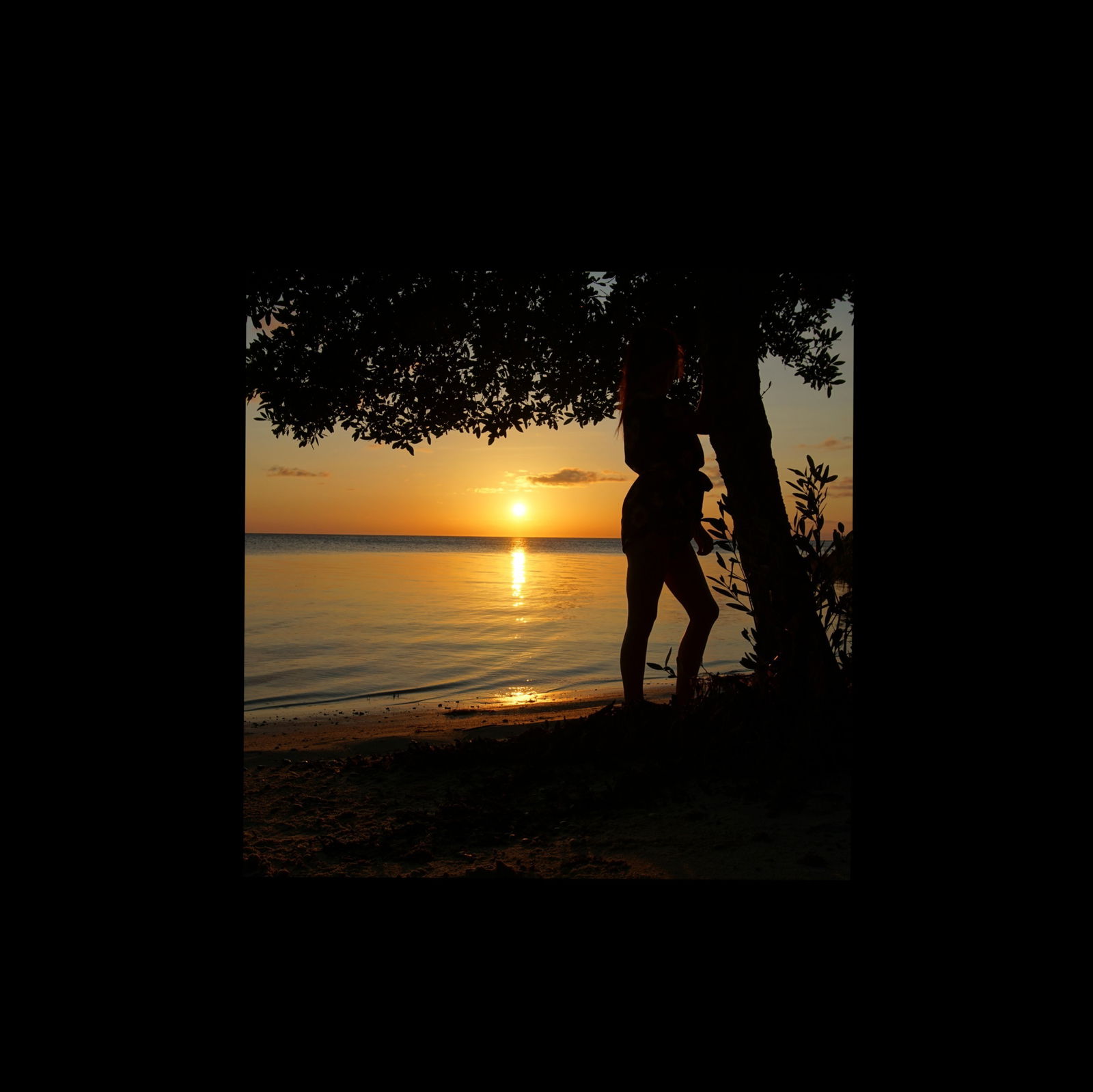 Rebecca Schultz photo