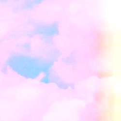 Allison Morrison photo