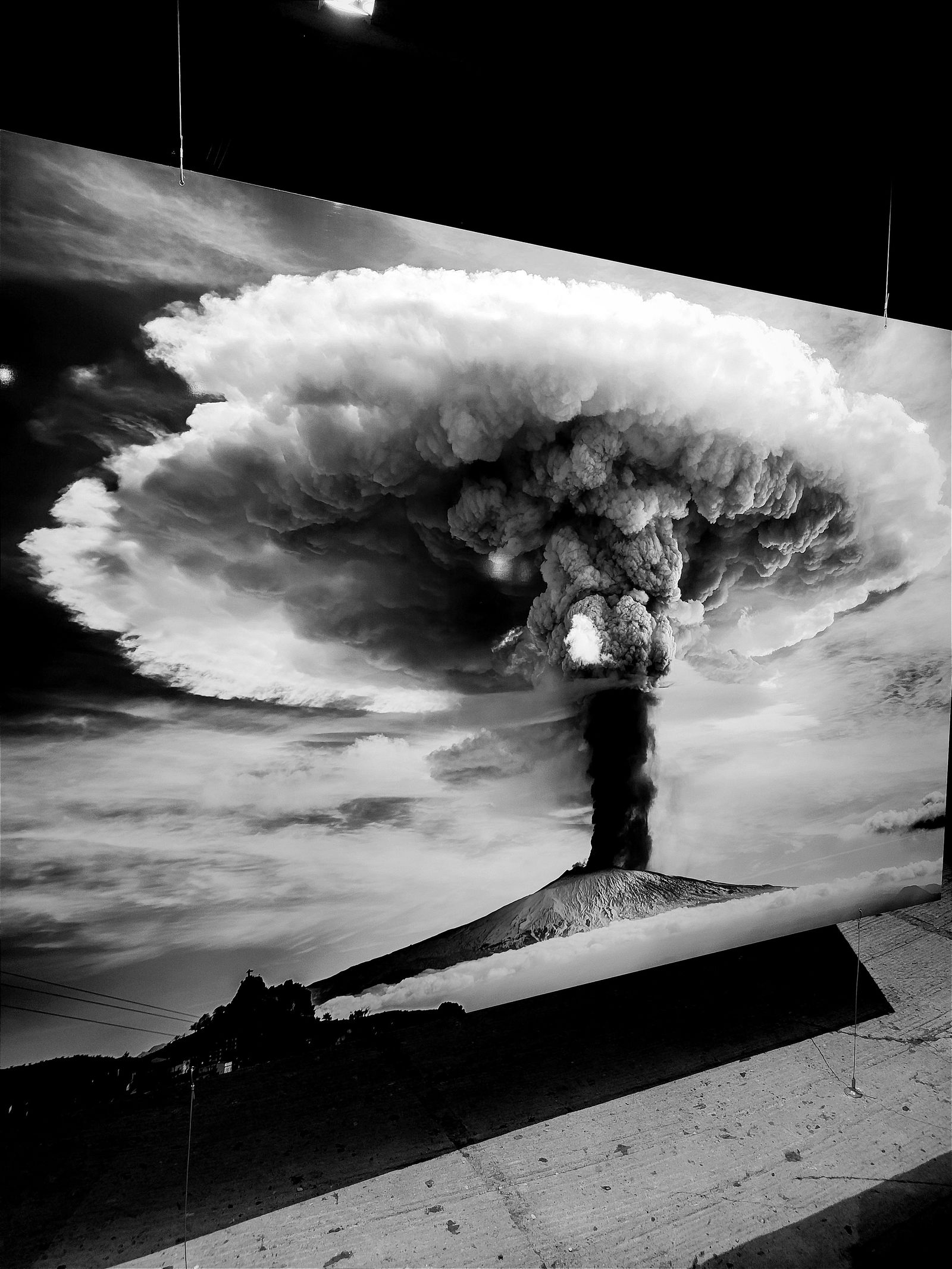 Alexas shadowplay photo