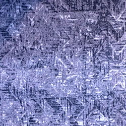 Sebastian Crockett photo