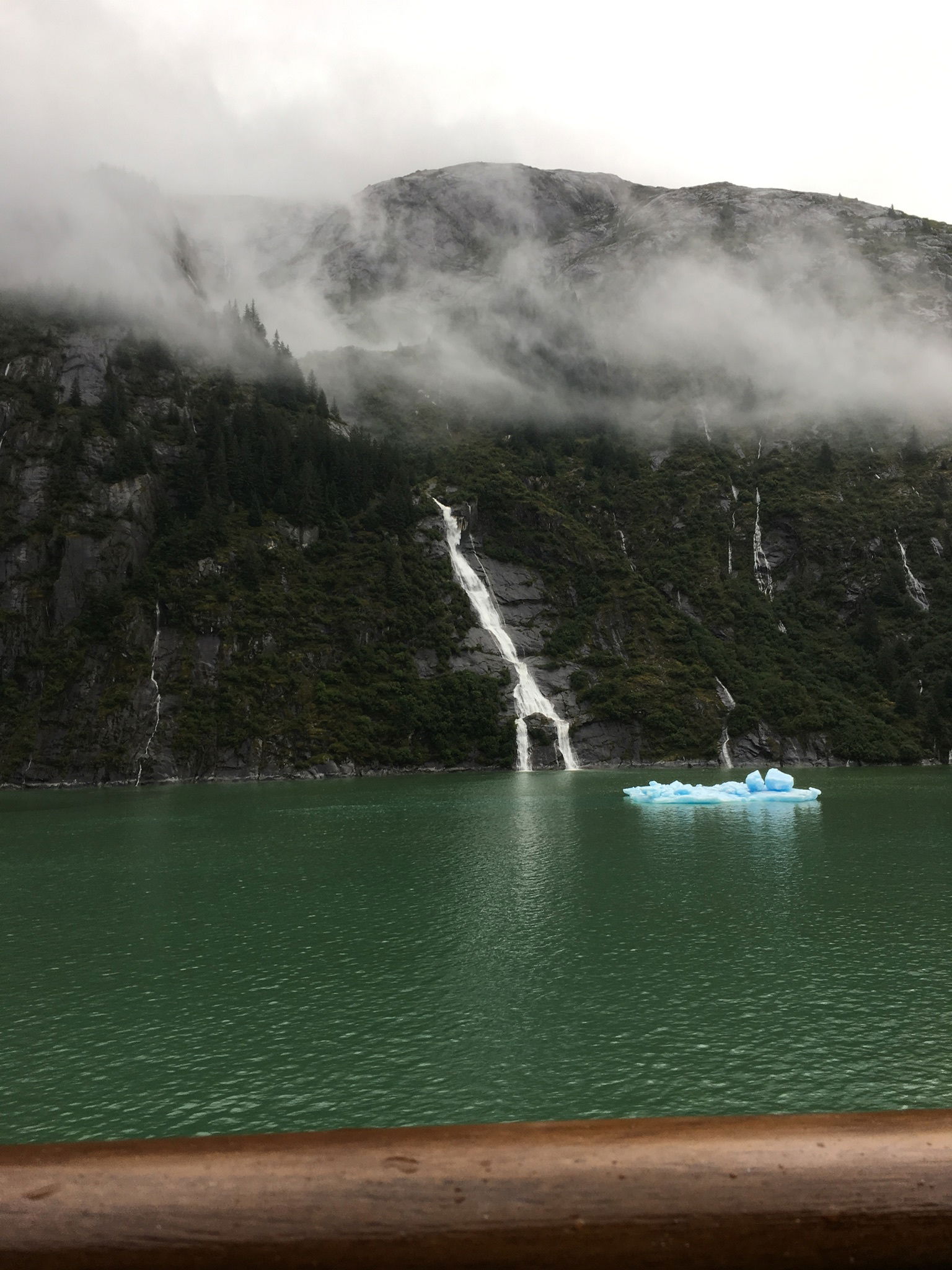 Victoria Bromur photo