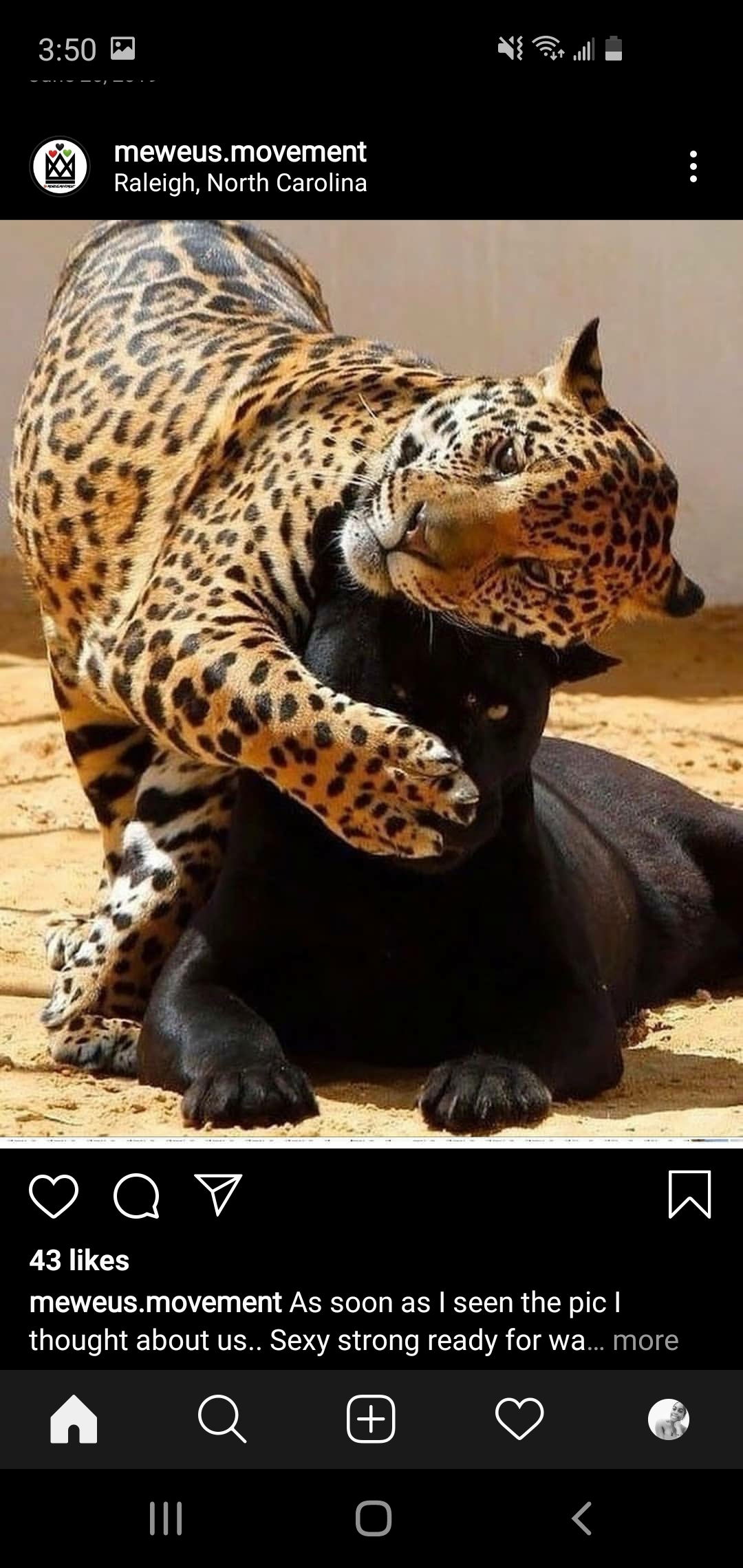 CATHERINE SMITH photo