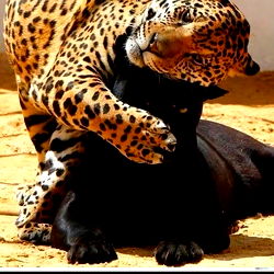 CATHERINE SMITH photo