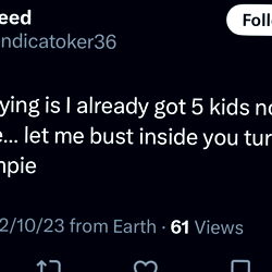 frazzled flower photo