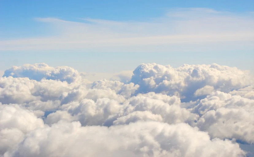 Stella Francis TS🏳️‍⚧️ photo