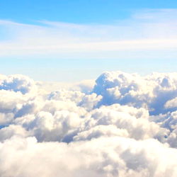 Stella Francis TS🏳️‍⚧️ photo