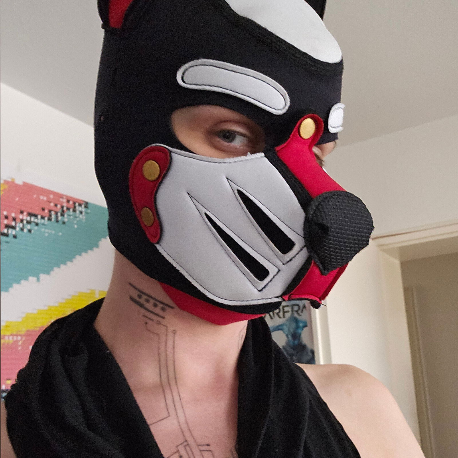 Destro the biting Pup photo